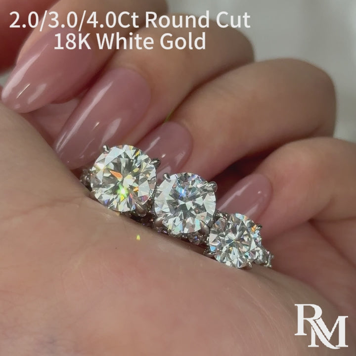 Rodiffy Moissanite 2.0Ct~4.0 Ct Round Engagement Ring -4 Prong Setting